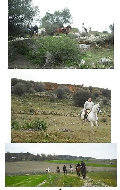 Cortijo Santa Clara Villa Carmona  Farm stay Carmona (Seville)
